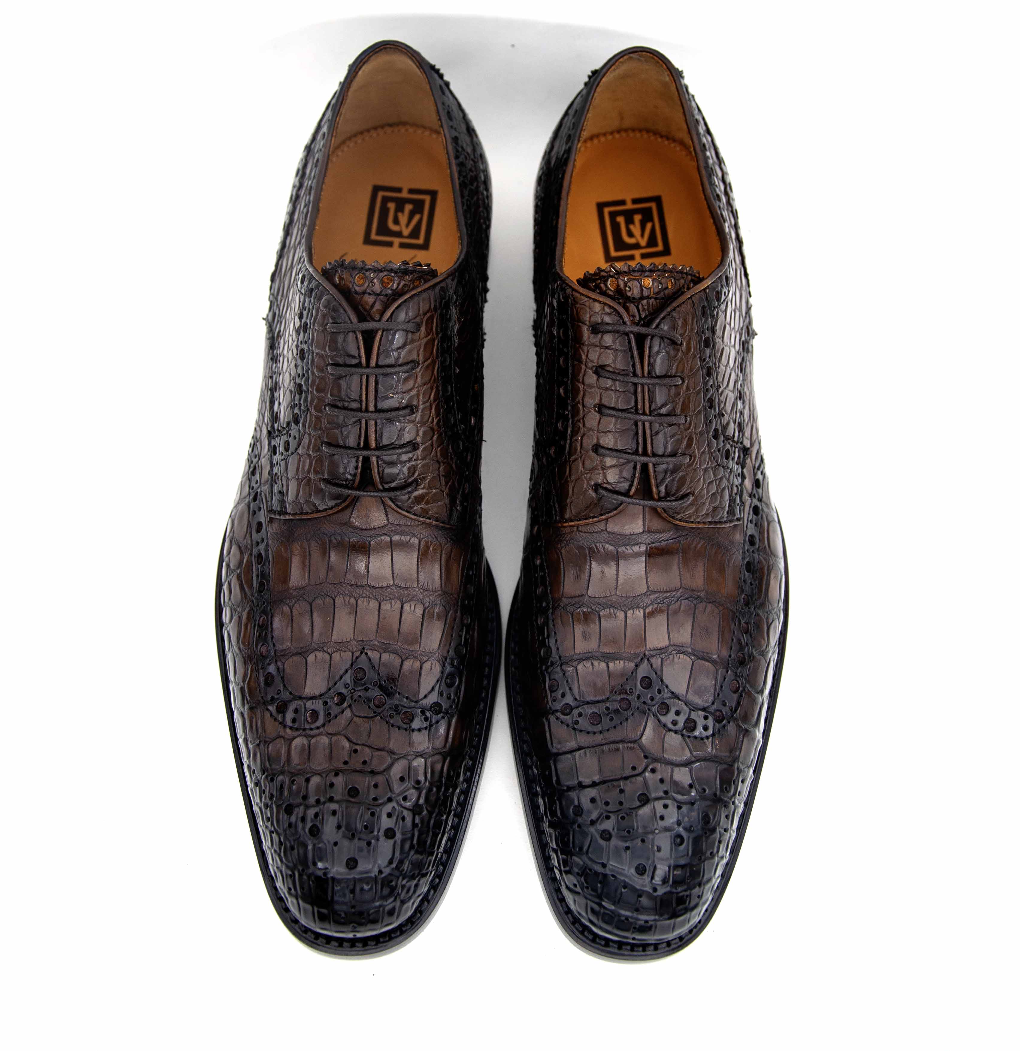 H and H Alligator-Brown