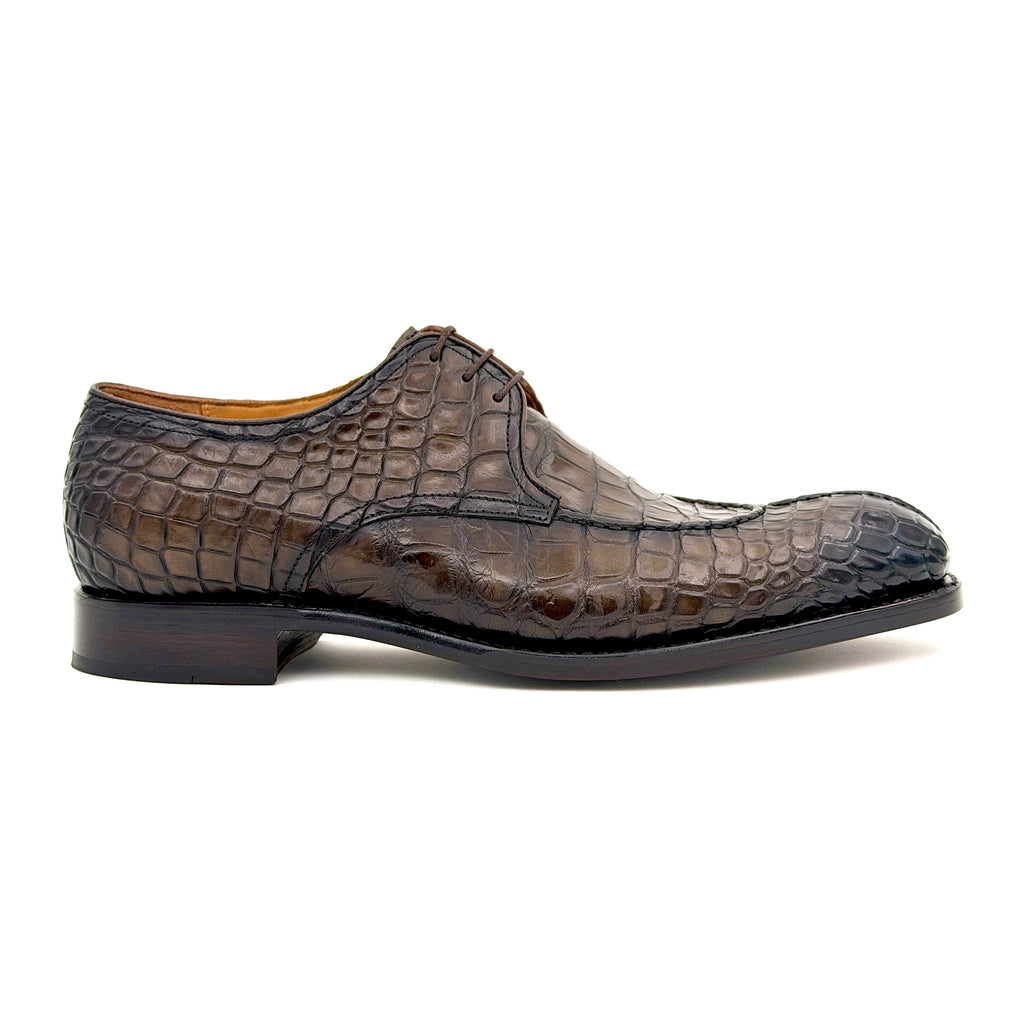 Jayden Alligator-Brown